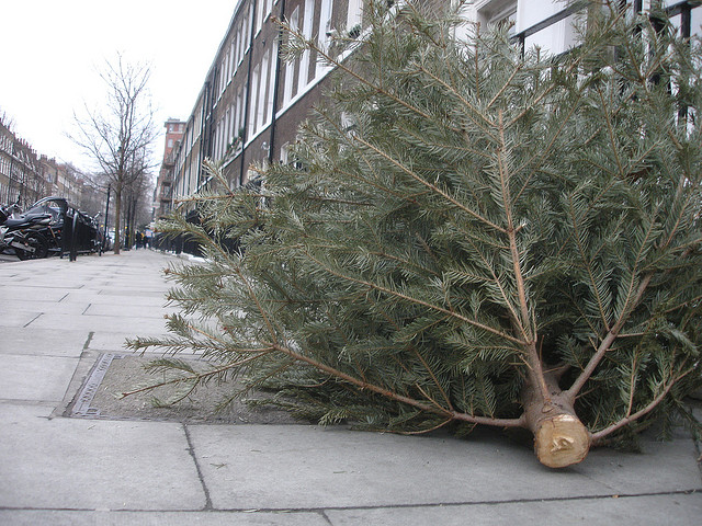 where to recycle your christmas tree in vancouver surrey where to recycle your christmas tree in vancouver surrey