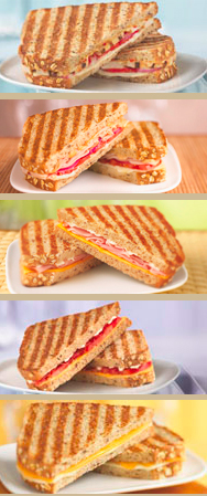 timhortonspanini