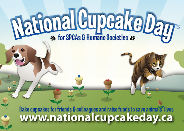 National Cupcake Day 2013