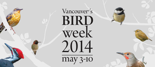 birdweek