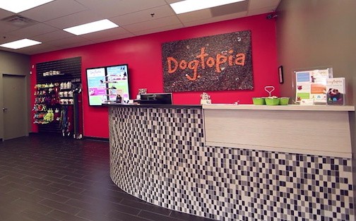 Dogtopia