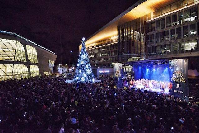 SurreyTreeLighting