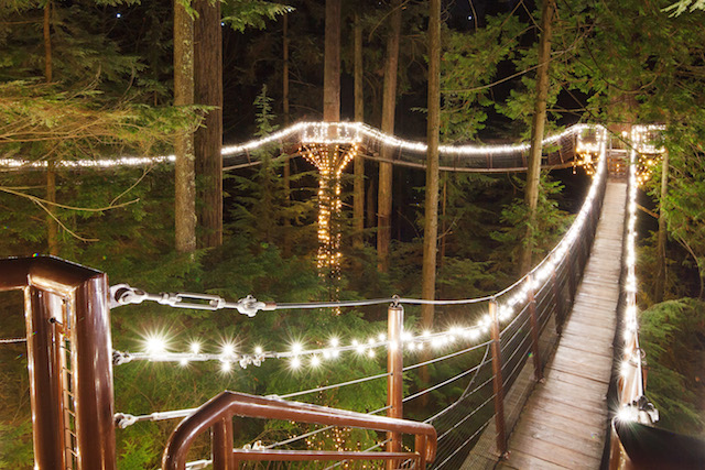 Canyon LIghts at Capilano Suspension Bridge