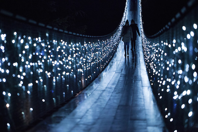 Canyon Lights at Capilano Suspension Bridge