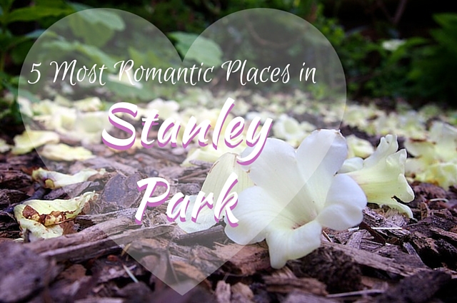 RomanticStanleyPark