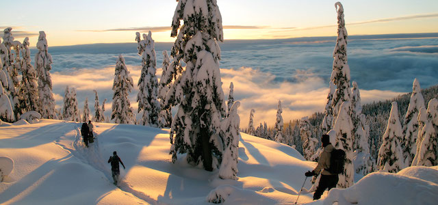 Snowshoe Tours