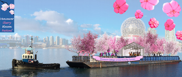 Cherry-Blossom-Barge