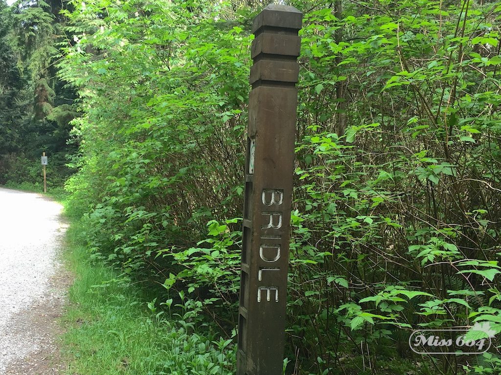 Trails3