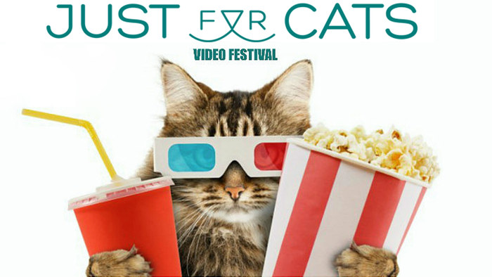 JustForCatsFestival_2016