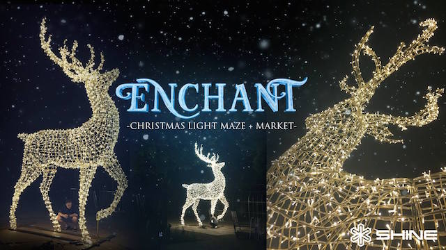 Enchant Christmas