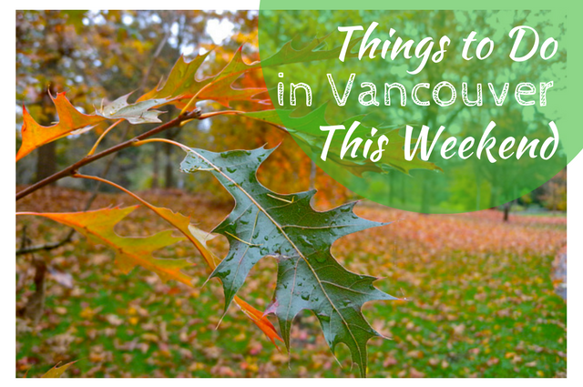 fall-autumn-thingstodo