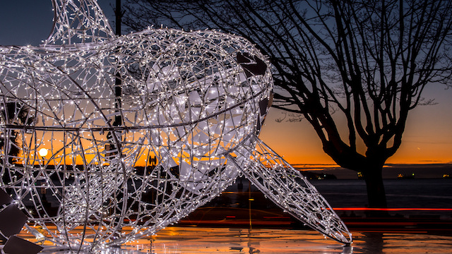 lumierefestival-westend-whale