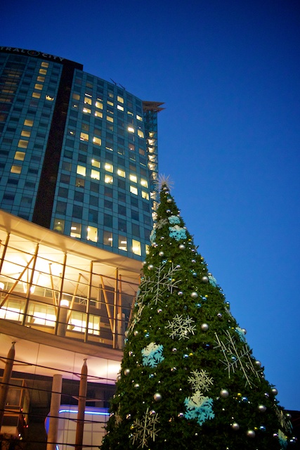 Surrey Tree Lighting Festival