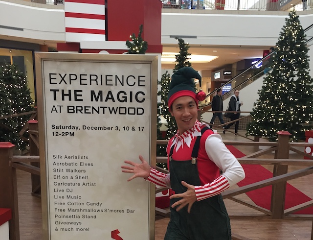 brentwoodholiday