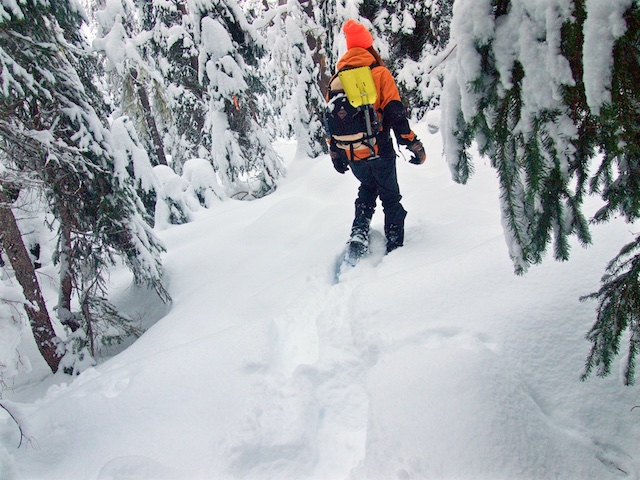 Manning Park Snowshoe