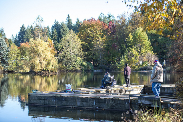 Como Lake Coquitlam